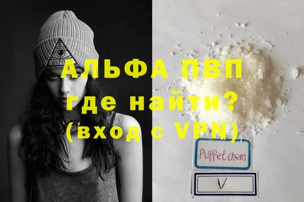spice Беломорск